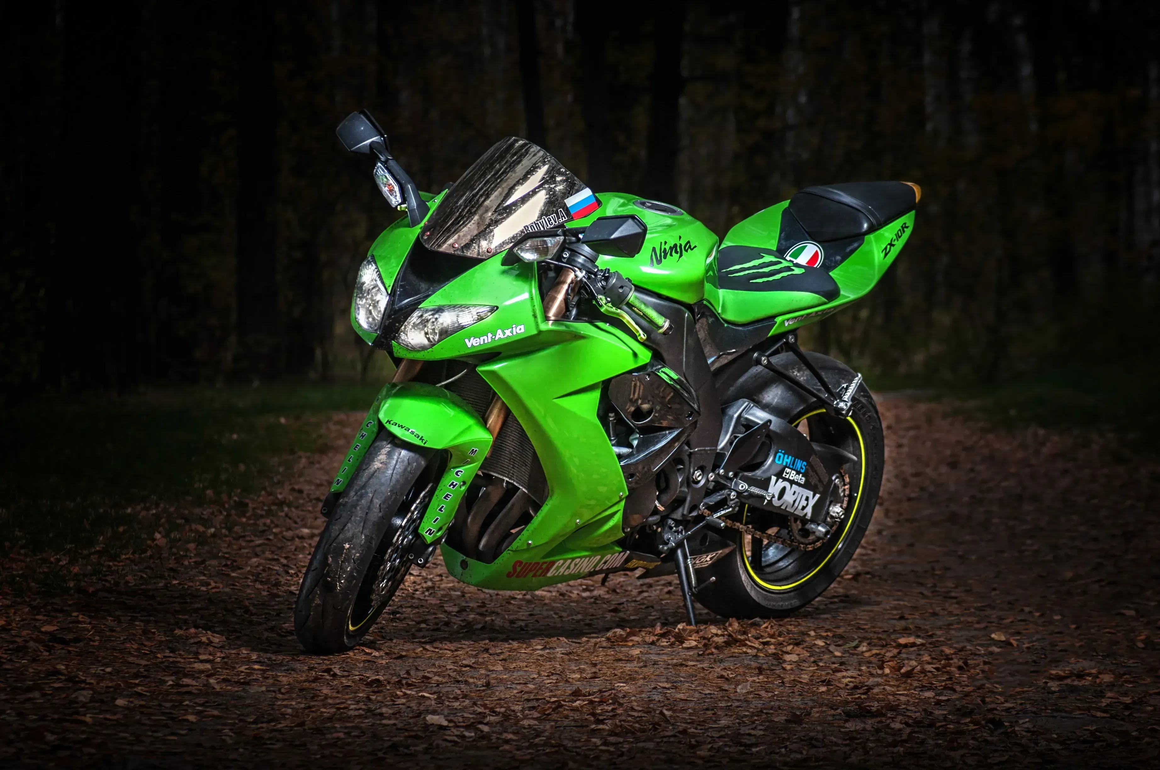 Kawasaki ZX-10R Ninja