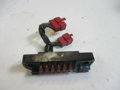 Article 5LGR6