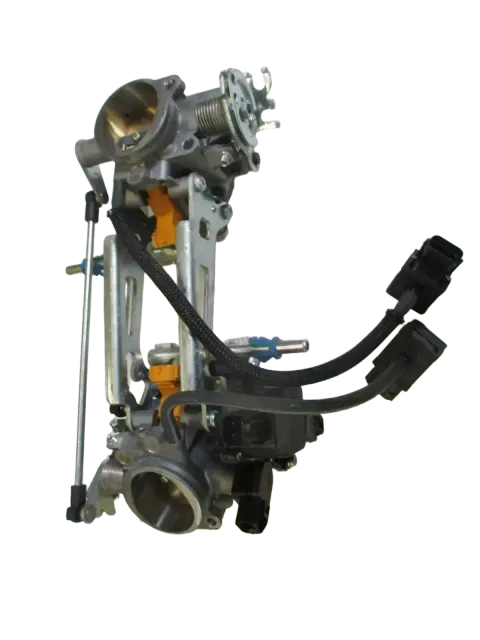 Article MAW5B