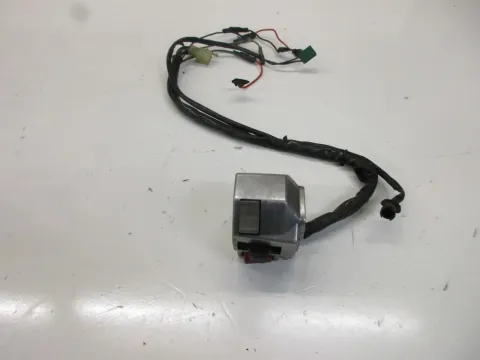 Article VPGNV
