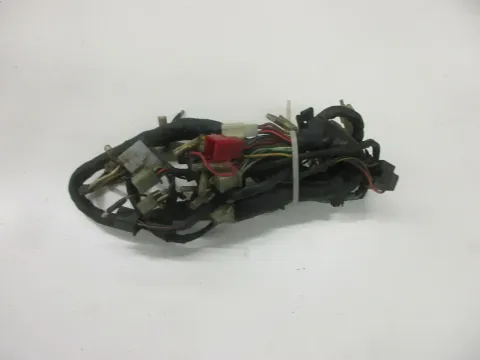 Article AN5YD