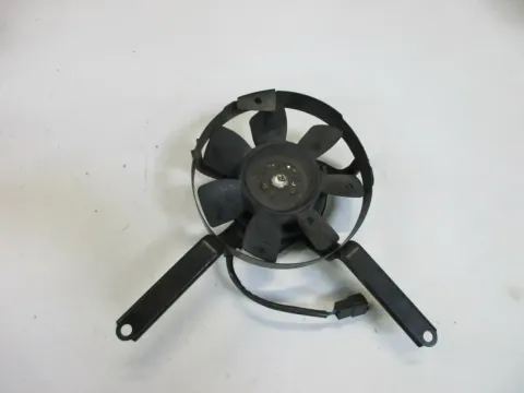 Article VWYO6