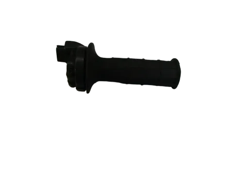 Article NEP2V