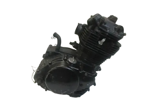 Article 5OWOM