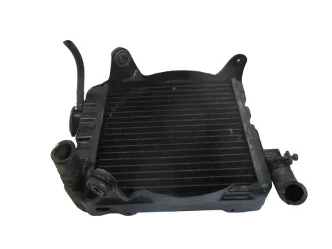 Article N64PL