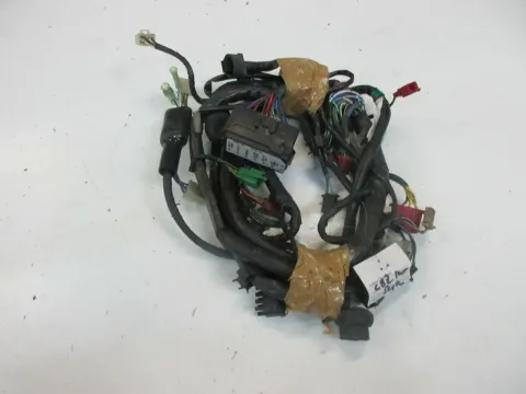 Article BPDL6