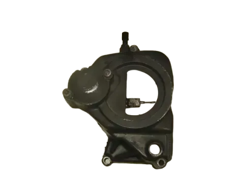 Article 5ZM5M
