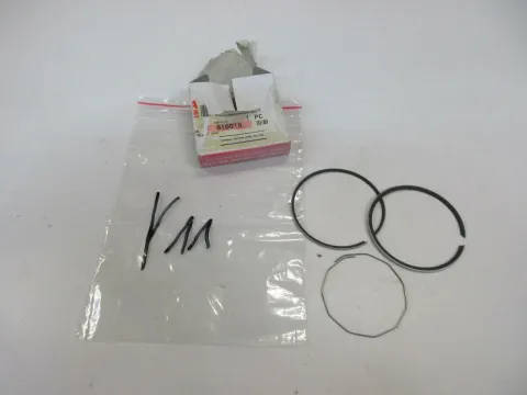 Article 3XMDL