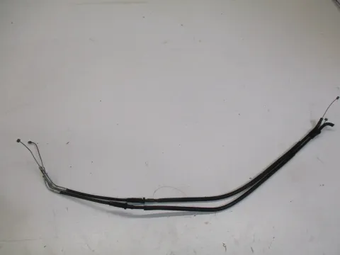 Article NLV5B
