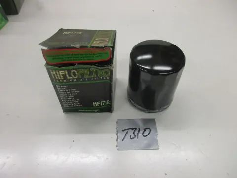 Article GAYO3