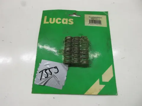 Article 6LLRL