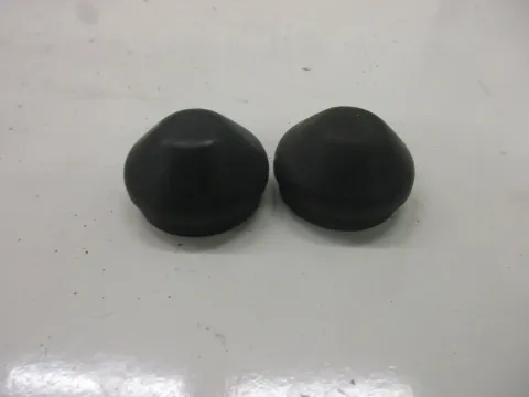 Article GAG25