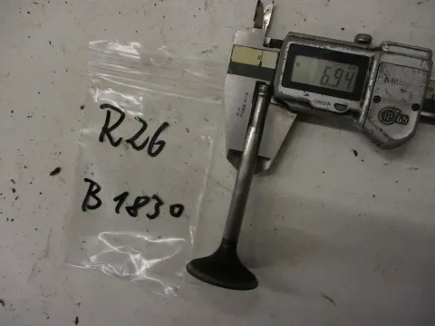 Article BGPD5