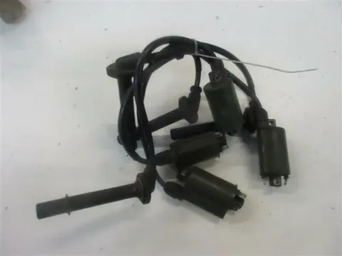 Article BPD53