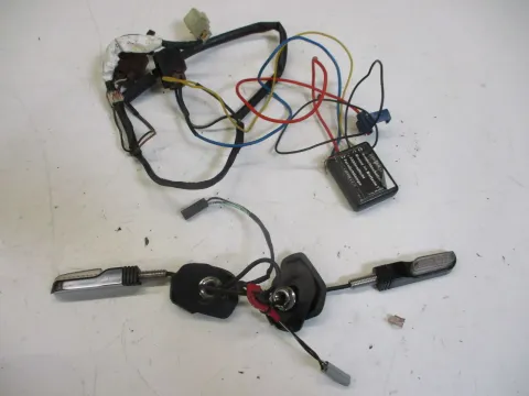 Article RGVDD