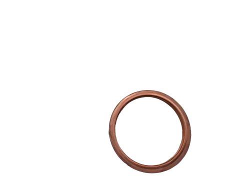 Article EGVLY