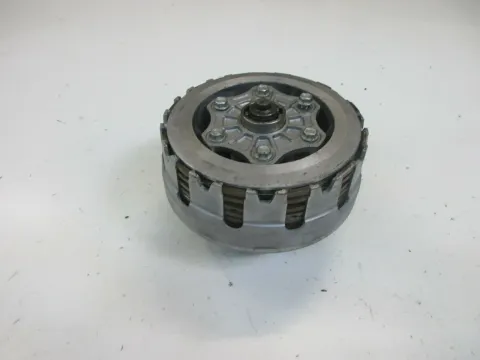 Article DVMP5