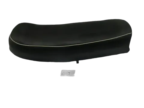 Article P2XP6