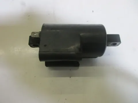Article EPLZL