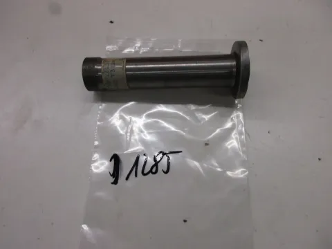 Article DP5Y2