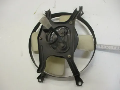 Article B6P55