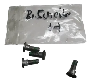 3. Honda CBR 600 F PC35 99-02 Bremsscheibenschrauben hinten rechts - Bild 1