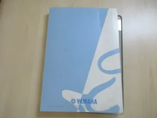 Yamaha WR 250 F (P) Handbuch Wartungsanleitung Fahrerhandbuch 5PH-28199-31 - Bild 2