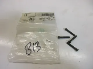 B13. Suzuki TS 250 VS 800_1400 Schraube Polrad Lichtmaschine Motor 02112-04253 - Bild 1