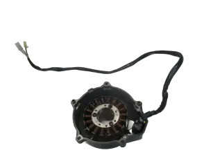 2. Yamaha FZS 600 Fazer RJ 02 Lichtmaschinenstator generator - Bild 1