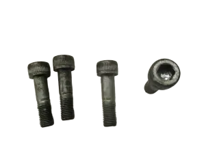 Bremssattelschrauben 1. Kawasaki ZZR 600 ZX600D vorne M10x47 mm - Bild 1