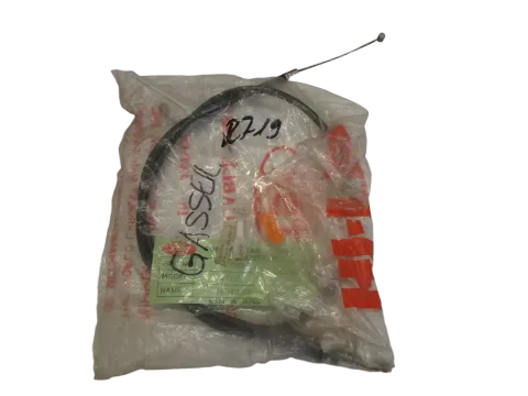 Article 43ZM5