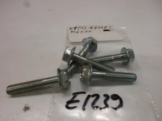 E1239 Suzuki Schrauben Bolzen M6 x 30 mm 01517-06308 Schwinge Rahmen Halter - Bild 2