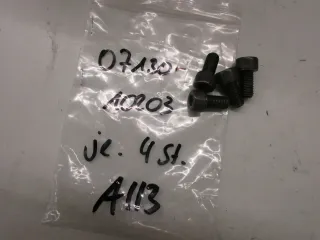 A123. Suzuki VL 1500 Schraube für Bremssattel hinten Bremse bolt 07130-10203 - Bild 1