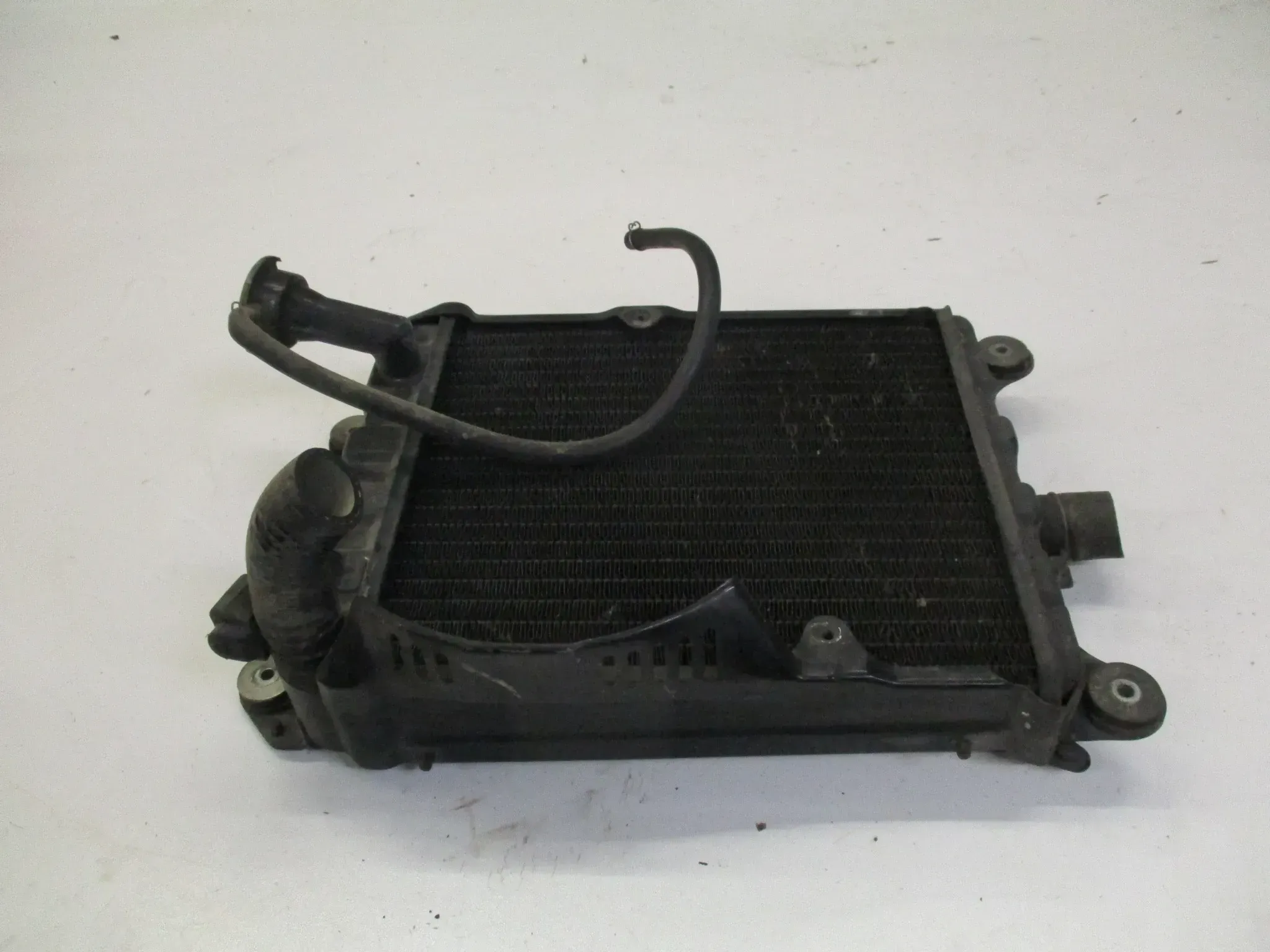 4. Honda Gl 1100 DX Goldwing Wasserkühler radiator vorne unten - Bild 1