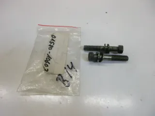 B14. Suzuki GSX 600_750 F Schraube Biolzen Bremssattel hinten 01580-10603 - Bild 1