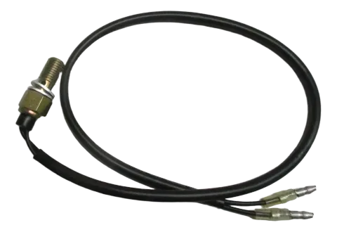 Background image for Honda_Kawasaki_Suzuki_Triumph_Yamaha Bremslichtschalter M10 hinten hydraulisch