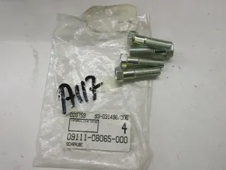 A127. Suzuki DR 125 SP 200 Schraube für Felge hinten Bremse 09111-08065 - Bild 1