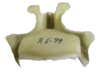 Q1045 Yamaha YZF-R6 N_H RJ03 Verkleidungshalter Geweih Rahmen - Bild 5