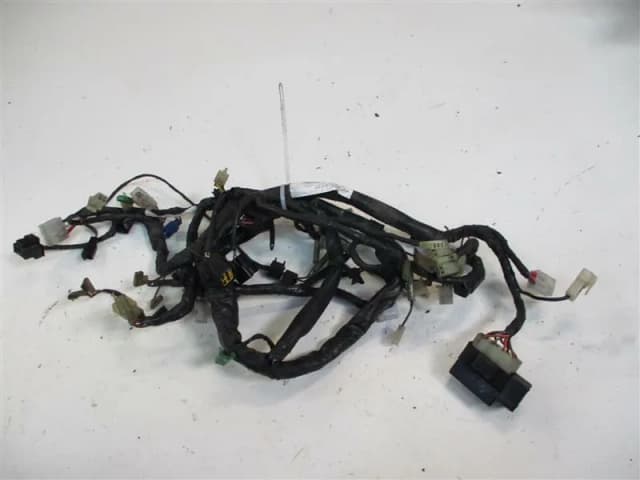 Article QG6OG