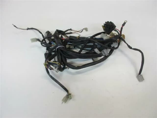 Article 5Z546